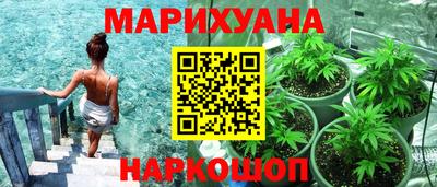 гашик Пыть-Ях