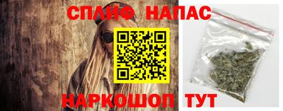 гашик Пыть-Ях