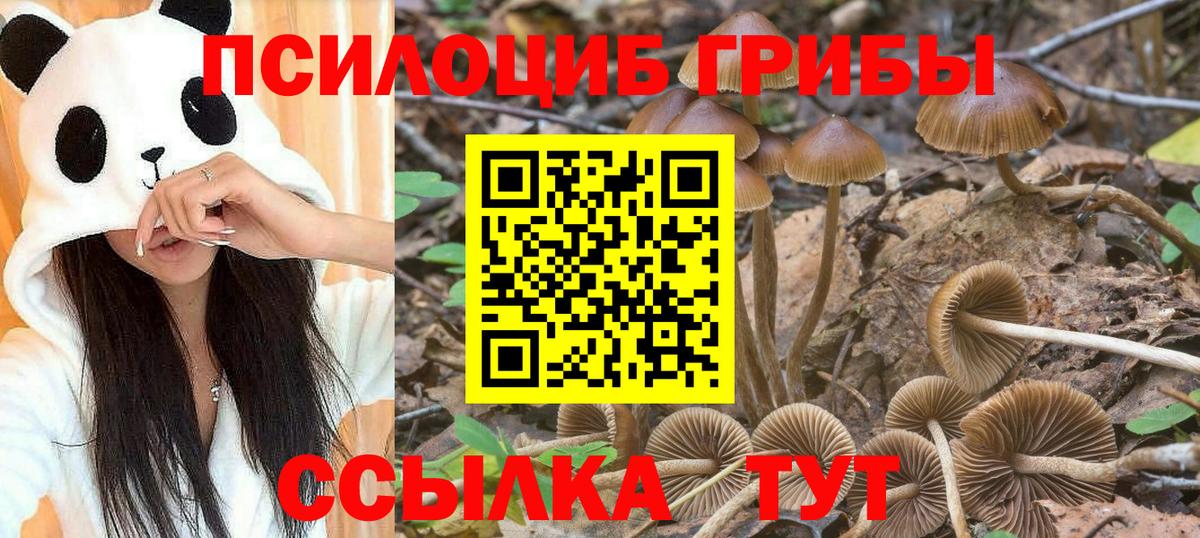даркнет сайт  Псилоцибиновые грибы Magic Shrooms  Вход с VPN  Пенза  Галлюциногенные грибы Cubensis 
